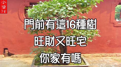 門前風水樹|門前種樹禁忌:這些樹千萬別種